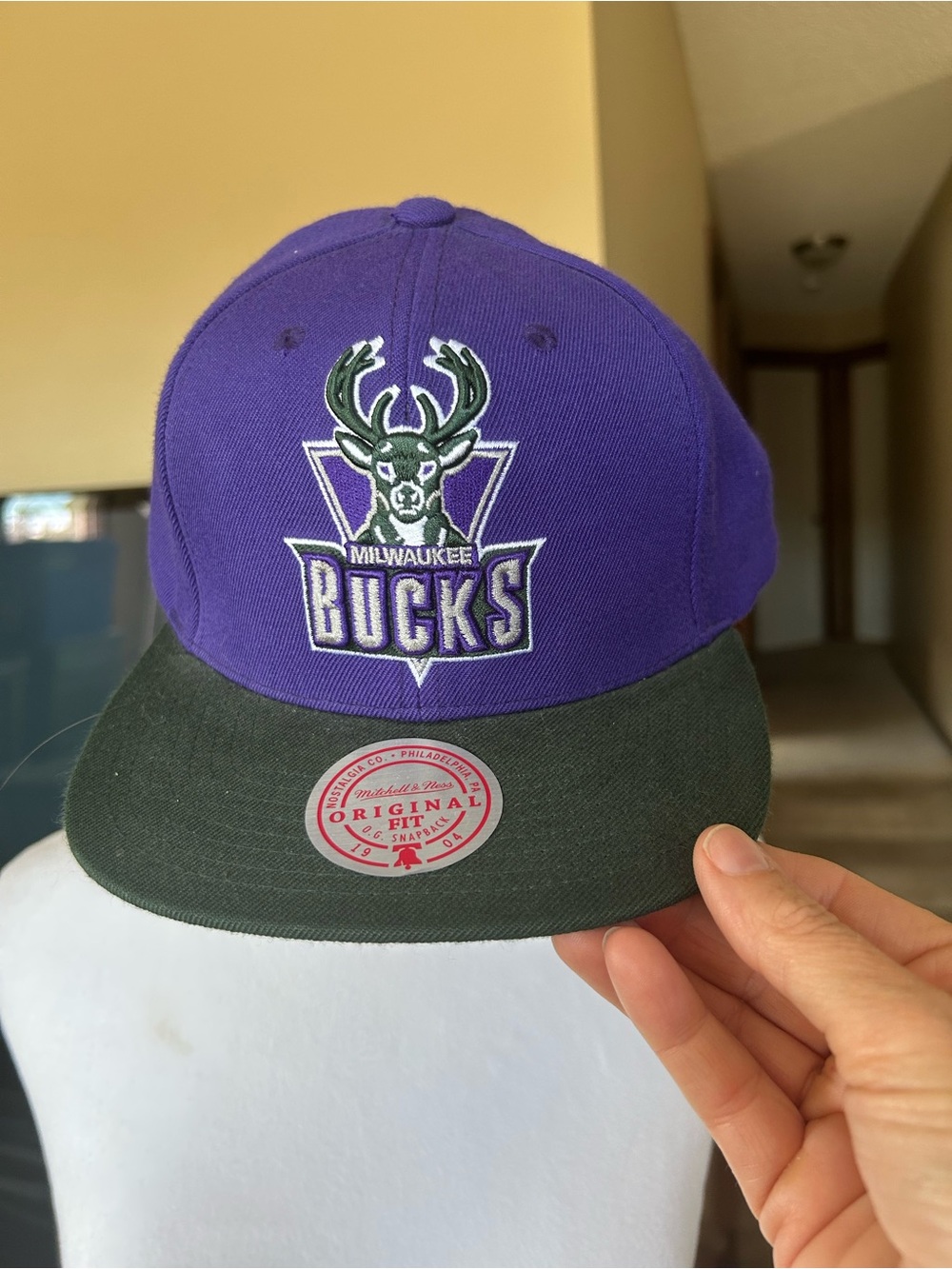 Mitchell & Ness Purple and Dark Green Milwaukee Bucks Snapback